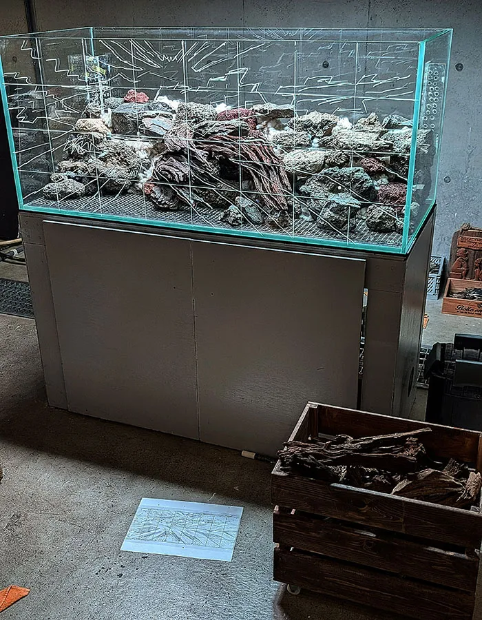 Aquascaping steps - PRIMAL BUST - IAPLC 2025 Silver Prize - Katsuki Tanaka / Japan